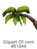 Palm Tree Clipart #51249 by dero