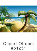 Palm Tree Clipart #51251 by dero