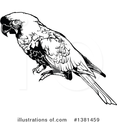 Royalty-Free (RF) Parrot Clipart Illustration by dero - Stock Sample #1381459