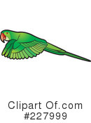 Parrot Clipart #227999 by Lal Perera
