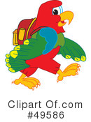 Parrot Mascot Clipart #49586 by Mascot Junction