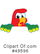 Parrot Mascot Clipart #49596 by Mascot Junction