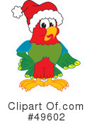 Parrot Mascot Clipart #49602 by Mascot Junction