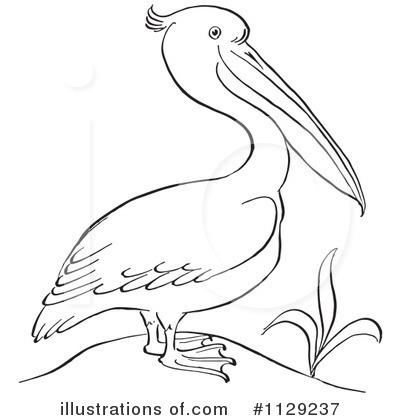 Pelican Clipart #1129237 by Picsburg