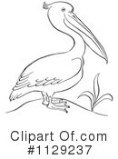 Pelican Clipart #1129237 by Picsburg