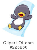 Penguin Clipart #226260 by BNP Design Studio
