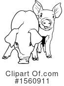 Pig Clipart #1560911 by dero
