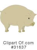 Pig Clipart #31637 by PlatyPlus Art