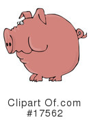Pigs Clipart #17562 by djart