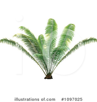 Palms Clipart #1097025 by dero