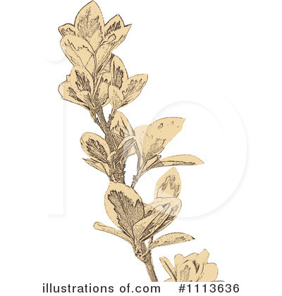 Royalty-Free (RF) Plant Clipart Illustration by Andrei Marincas - Stock Sample #1113636