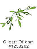 Plant Clipart #1233262 by dero