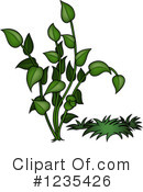 Plant Clipart #1235426 by dero