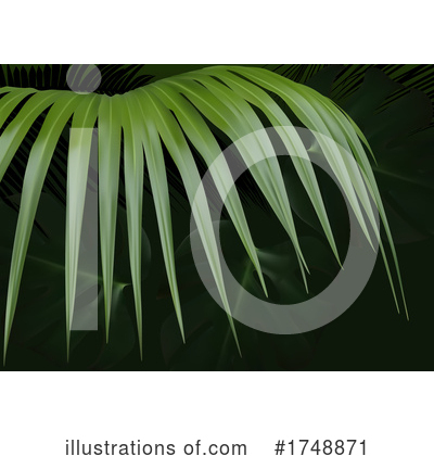 Palms Clipart #1748871 by dero