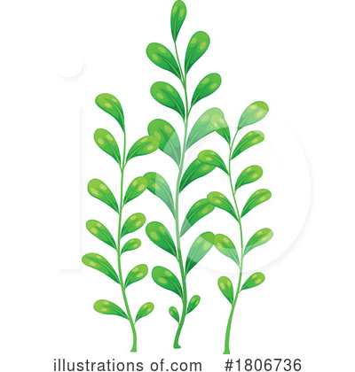 Seaweed Clipart #1806736 by Vector Tradition SM