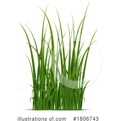 Grass Clipart #1806743 by Vector Tradition SM