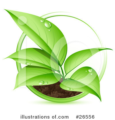 Plant Clipart #26556 by beboy