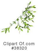 Plant Clipart #38320 by dero
