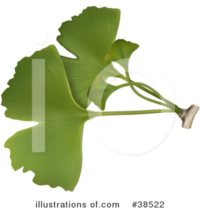 Leaf Clipart #38522 by dero
