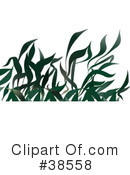 Plant Clipart #38558 by dero