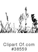 Plant Clipart #38559 by dero