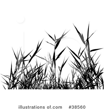 Royalty-Free (RF) Plant Clipart Illustration by dero - Stock Sample #38560