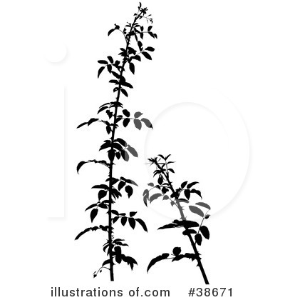 Royalty-Free (RF) Plant Clipart Illustration by dero - Stock Sample #38671