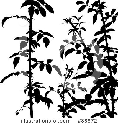 Royalty-Free (RF) Plant Clipart Illustration by dero - Stock Sample #38672