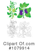 Plants Clipart #1079914 by Alex Bannykh