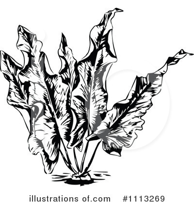 Royalty-Free (RF) Plants Clipart Illustration by Prawny Vintage - Stock Sample #1113269