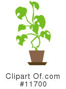 Plants Clipart #11700 by AtStockIllustration