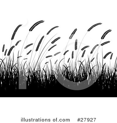 Wheat Clipart #27927 by KJ Pargeter