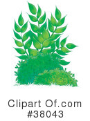Plants Clipart #38043 by Alex Bannykh