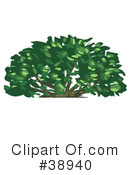 Plants Clipart #38940 by Tonis Pan