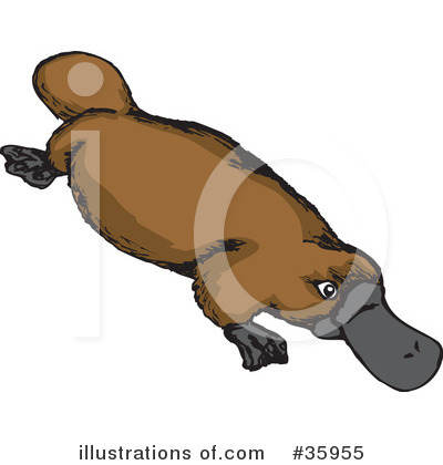 Royalty-Free (RF) Platypus Clipart Illustration by Dennis Holmes Designs - Stock Sample #35955