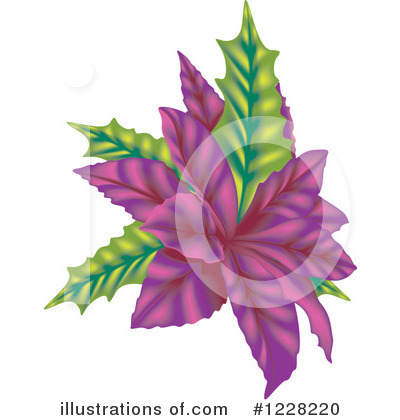 Royalty-Free (RF) Poinsettia Clipart Illustration by dero - Stock Sample #1228220