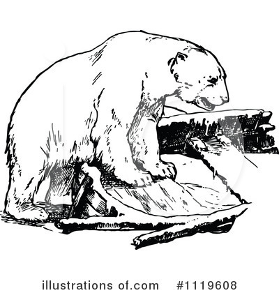 Bear Clipart #1119608 by Prawny Vintage