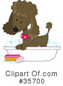 Poodle Clipart #35700 by Maria Bell