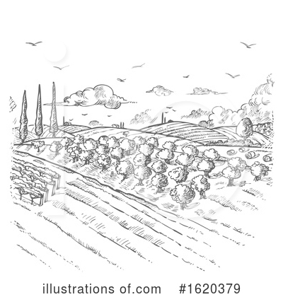 Vineyard Clipart #1620379 by Domenico Condello