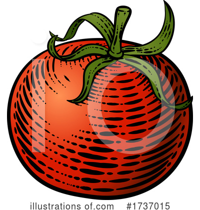 Tomatoes Clipart #1737015 by AtStockIllustration