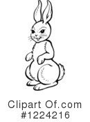 Rabbit Clipart #1224216 by Picsburg