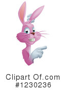 Rabbit Clipart #1230236 by AtStockIllustration