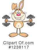 Rabbit Clipart #1238117 by Hit Toon