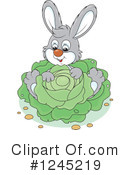 Rabbit Clipart #1245219 by Alex Bannykh