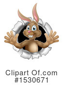 Rabbit Clipart #1530671 by AtStockIllustration
