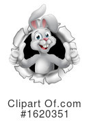 Rabbit Clipart #1620351 by AtStockIllustration