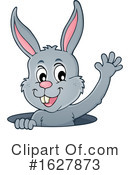 Rabbit Clipart #1627873 by visekart
