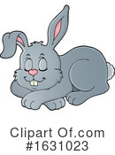 Rabbit Clipart #1631023 by visekart
