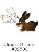 Rabbit Clipart #32538 by Alex Bannykh