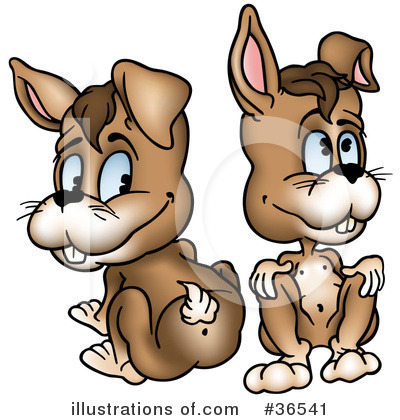 Rabbits Clipart #36541 by dero